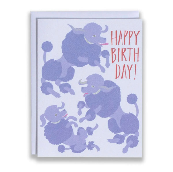 Happy Birthday Poodle Card