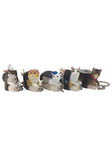 Sushi Cat (Nekozushi) Keyring Blind Box Vol. 2