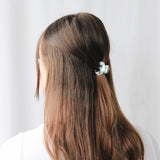 The Braza Hair Clip