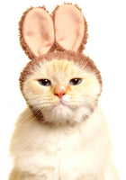 Cat Cap Blind Box (Rabbit)