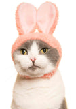 Cat Cap Blind Box (Rabbit)