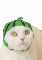 Cat Cap Blind Box (Fruit)