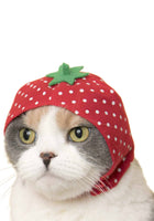 Cat Cap Blind Box (Fruit)