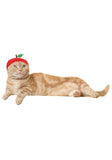 Cat Cap Blind Box (Fruit)