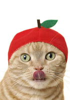 Cat Cap Blind Box (Fruit)